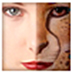 ñ(FantaMorph) 3.7.1 ɫ