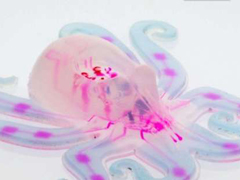 ���ˡ��Ķ�������������˻������˥�����Ʒ���