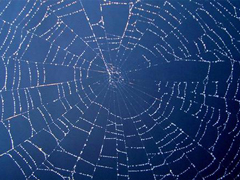 ������ͯɫ�鷺�ģ�Anonymousһ�θɵ�20%������վ