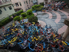 �����ձ����ƻ��������������µù�