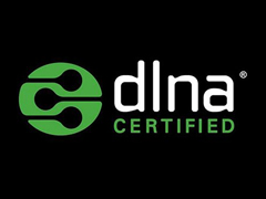 DLNA��ǰ��ʽ����������֯�Ѿ���ɢ