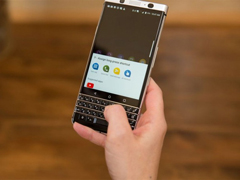 TCLȷ�Ͻ���2017���Ƴ�3���ݮ�ֻ�