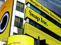 Snap3��2�����У���ֵ�ߴ�238����Ԫ��