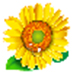 ׯ V1.0.1 ɫ