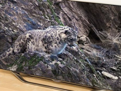 ά�����ܽ�¶����ηֱ��������ܵ��ӱ����ˣ�