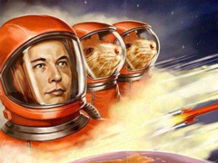 SpaceXµ׽׿ɻջ