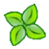 Xlight FTP Server V3.6.5 ɫر