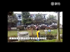 ���ͻ����Ƚ��������ѡ����ɶ�ĳ��У��ֹ�����У