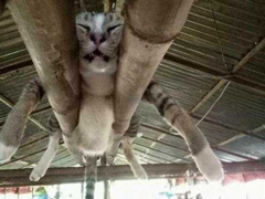 �����˯������߾��磺̰˯�����˿챻�������滵��