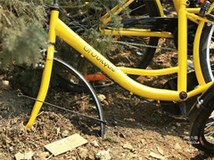 ������ռ�������������ӱ����ĸ��¾���