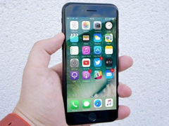 ���Ƿ�թƭ��ȫ���棺ƻ���ѳ�թƭ������������