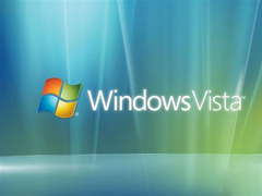 Vista��ĩ·��΢����������Vistaϵͳ����չ֧��