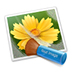 Neat Image Pro(רҵͼƬ) V5.6 ɫ