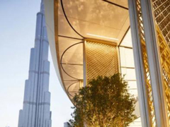 ̫֮㣡ϰݹApple Storeʽҵ