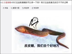 ಿϲ顰ϻֱƽ̨šŮץ