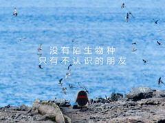 QQһ磡Ѷ緢QQ Xƻ