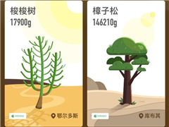 ����ɭ����������������ȡ��������+������