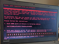 ��������ϵͳ��������������Petya��Ϯ