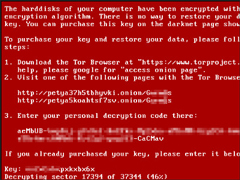 ϽղأϷͶPetyaָ