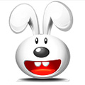 Ӽ V2.0.0.3 Ѱװ