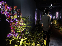 ��Ҳ�У��ձ�ɫ��֮��������ҵ����