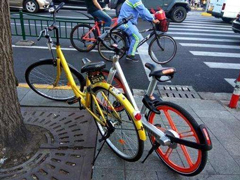 ��ֵ�����壿����ǿᷢ�����������ļ�����