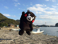 ������Ҫ�ཻ˰���ձ������ա�����˰��