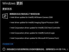 ΢������Surface Pro 4��Win10�̼����£��޸���������ͷ