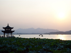 �ַš����С��ˣ�֧�����ں����Ƴ��������÷���ͤ