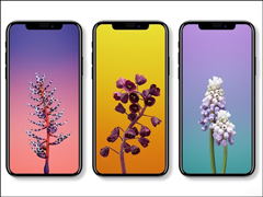 �㱻֮ǰ�ĵ���ƭ��û��iPhone X���¶�ױ���ع�