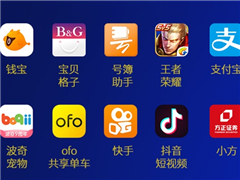 2017������Ӧ��Top10��������ҫ��֧������Χ