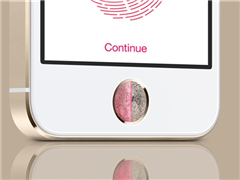 �����������ƺ���������������ǿ�沿ʶ��