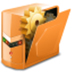 Reg Organizer(ע) V9.11 ԰