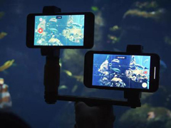 �ȸ�Pixel 2��iPhone X���ĸ��ã�iPhone X��Pixel 2���չ��ܶԱ�����