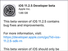 ƻ����ʼ����iOS 11.2.5������Ԥ����beta 1����