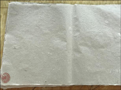 �Ĵ�ĳ��ҵ�����ô���è�����������èֽ��