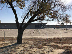 ������δ�������ķϣ���Ծͤ�����ﱸ��פ