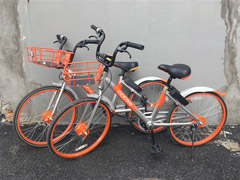 ΢�š�֧��������Χ����ý���й��¡��Ĵ�����