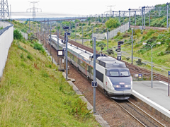 12306��Ʊ������֤��������˳ɲ�����֤��