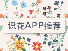 ʶ�������ĸ��ã�2018ʶ��APP�Ƽ�