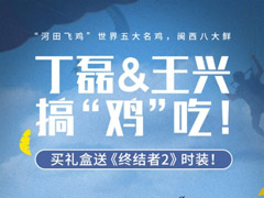 ���͡��ս���2��Ƥ�������׺���ɼ���ʽ����