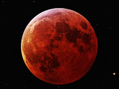 ��׽��������ɫѪ�¡������ѡ�������Ӱ������