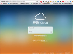 ƻ���߹ܣ��й��������Ľ���2020��Ͷ��ʹ��