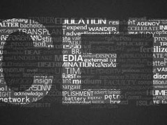 ��ѧӢ���������ɼ���ô�飿2017���ѧӢ���������ɼ���ѯ��ַ����