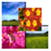 Youfeng Photocomposer(ͼŰ) V1.2 ɫ