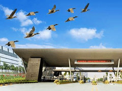 ������������˳���֤��ḱ��ϯ����̸��ʿ��36�����