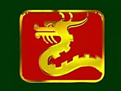 �淶����������Ŀ������ܾ�������ֹ�Ƿ�ץȡ��ƴ�ı�������Ŀ