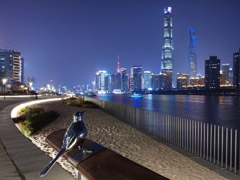 �ɾ�ͨ͸���׾�ɹ��С��MIX 2S�ֻ�ҹ������