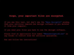 ע���ˣ���������Zenis��Ϯ