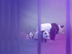 ΢Win10ѹٷRemix 3D Animalsصַ